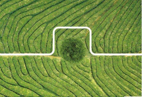電気農業 大規模な農場で農薬を噴射する 最大のペイロードドローン