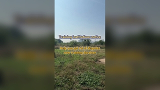 精密農薬散布ドローンが訓練紛争を解決